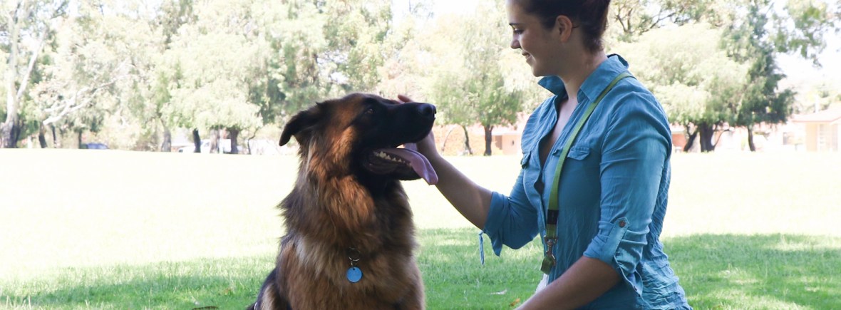 Amy from Happy Dogs Walks and Training